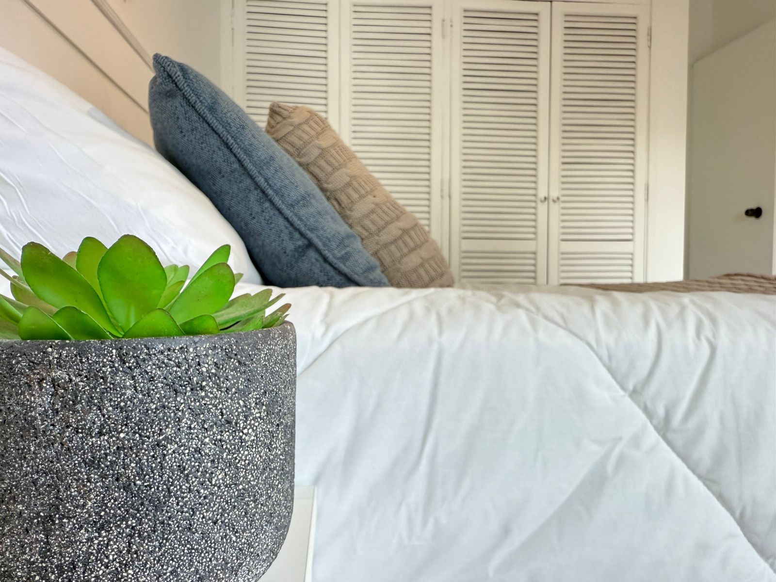 O Parque - Rua Augusta